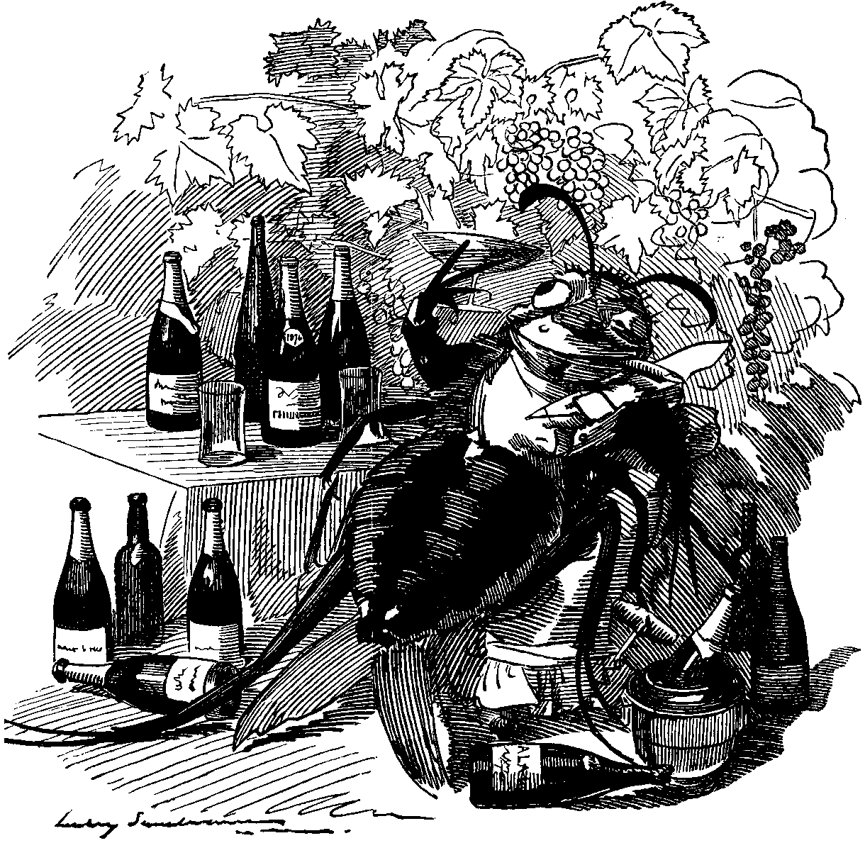 blog-image 1
